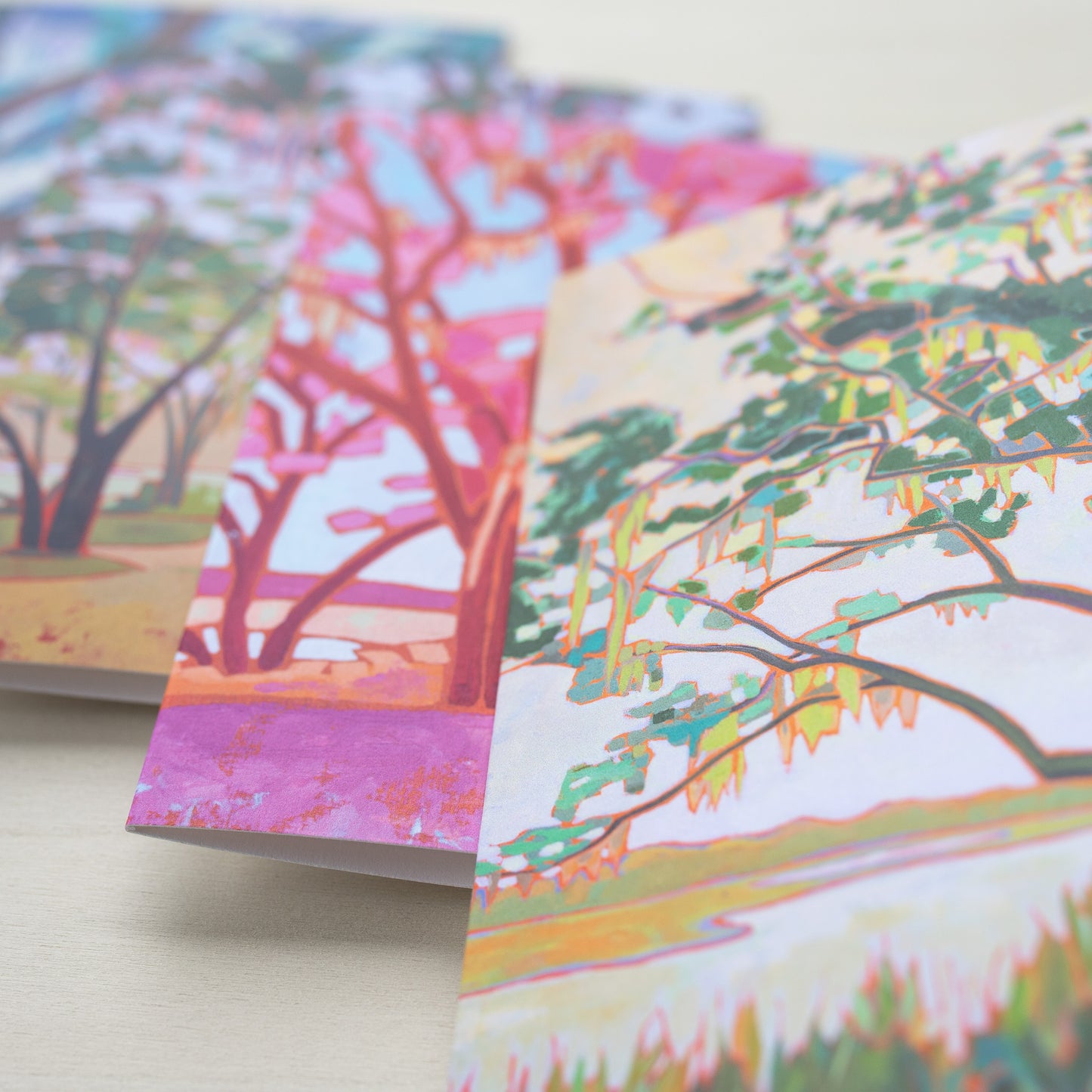 Assorted Coastal Greeting Cards