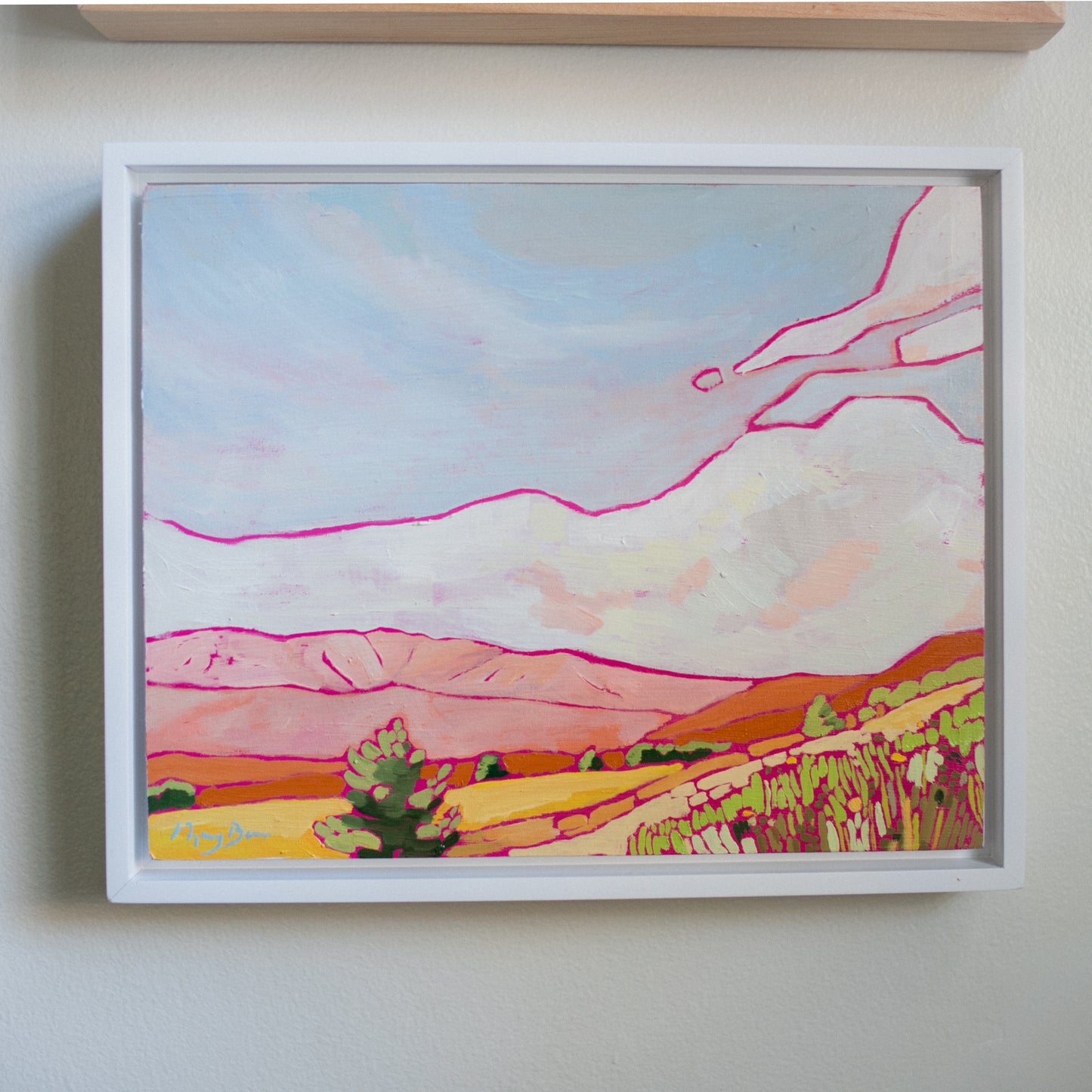 Pink Hills