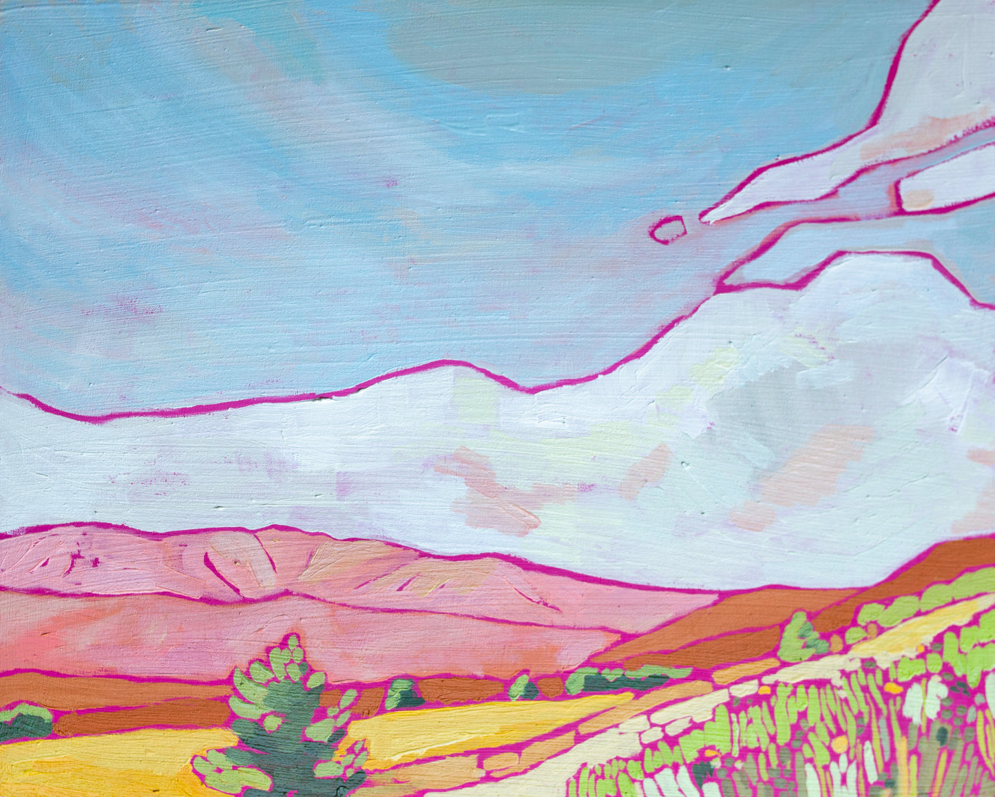 Pink Hills