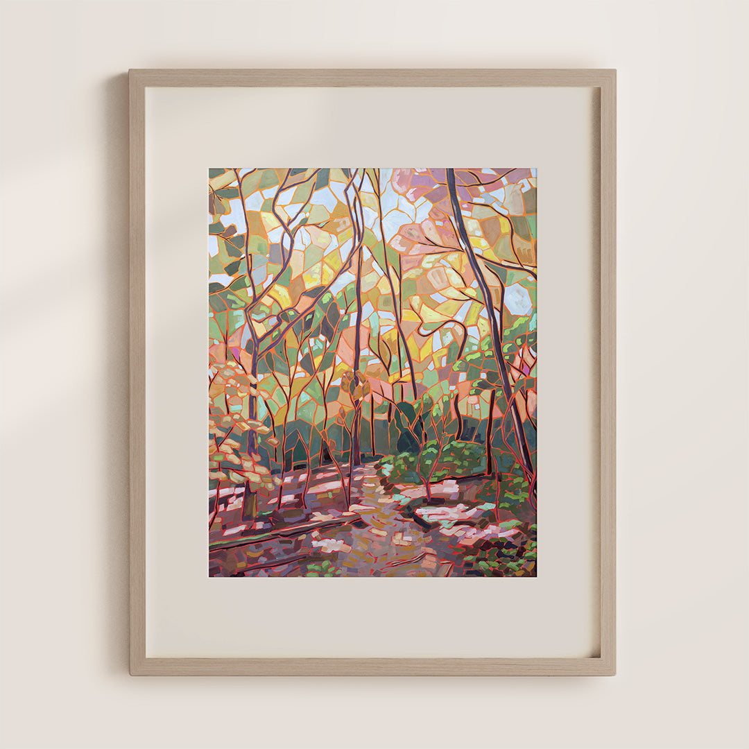 Technicolor Canopy Print